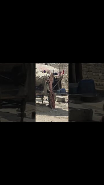 Hardest Living Lifestyle #Livesty #ytshorts #poverty #living #viral #viral2022 #trending2022