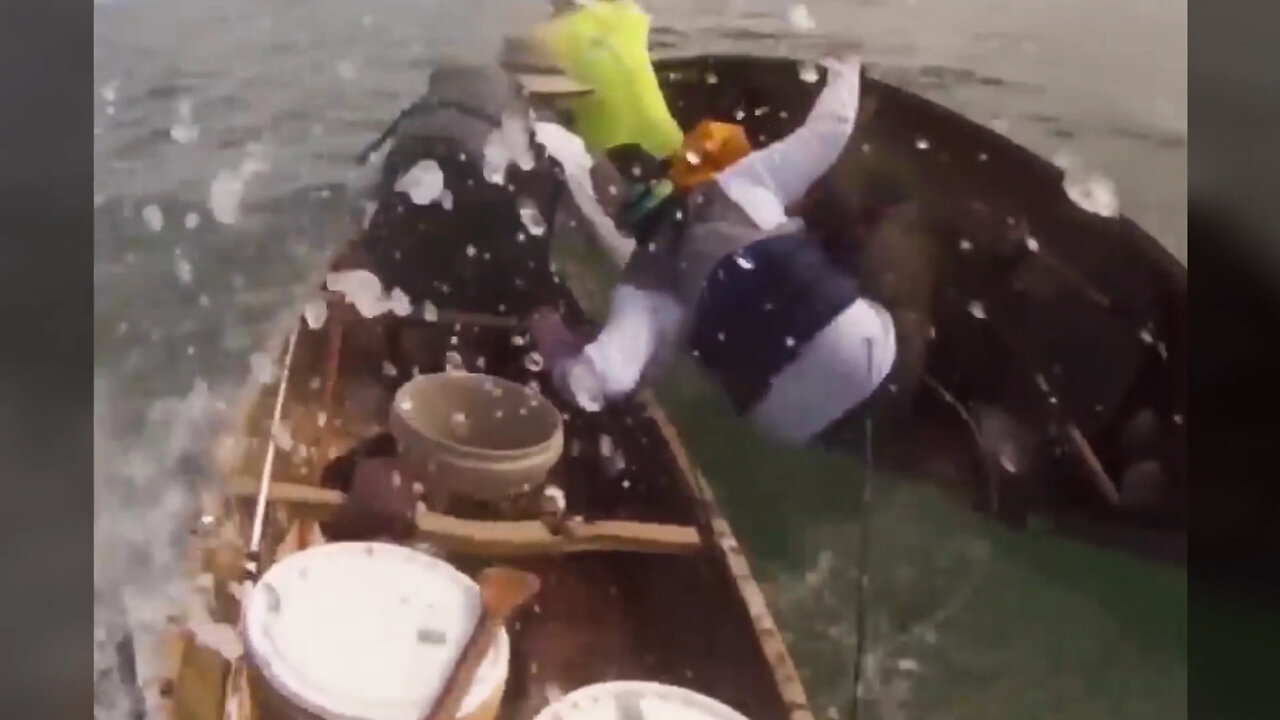 Massive Shark Rams Small Fishing Boats Caught on Camera - CR News