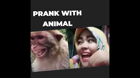 Prank with Dog