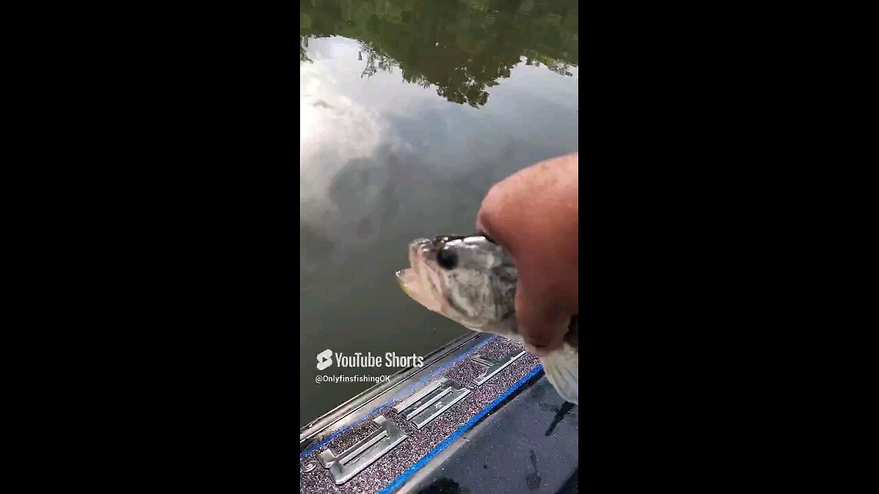 Fishing Is Easy