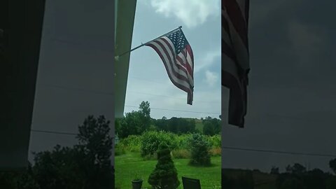 Scot Shorts #8 // Happy Flag Day!
