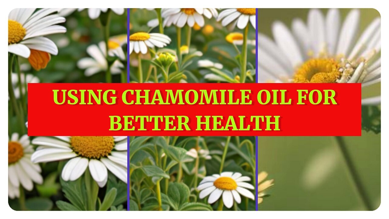 Why Should You Consider Using Chamomile Oil for Health