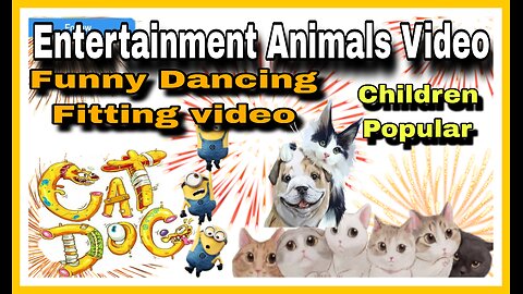 Entertainment Animal video// Funny Cat-Dog Video//Dancing Animals //Crazy Cat -Dog