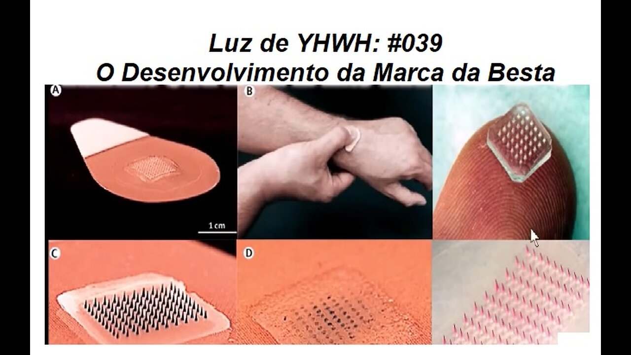 Luz de YHWH: #039 O Desenvolvimento da Marca da Besta