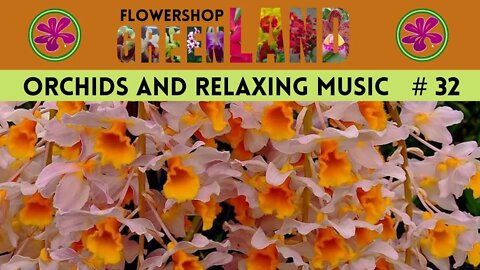 WHITE RIVER MUSIC | 100 ORCHIDS TO THE SOUND OF RELAXING MUSIC | #32