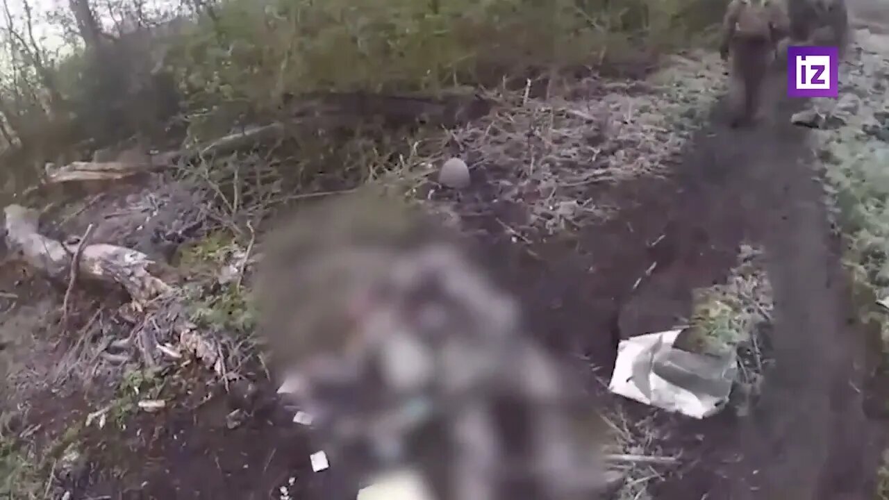 Russian Landing Eliminated Ukrainian Militants In The Forest Belt