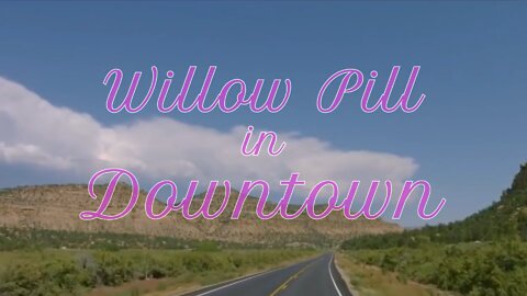 Willow Pill - Digital Drag Show