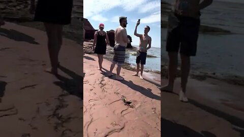 Walking Thundercove Beach in PEI