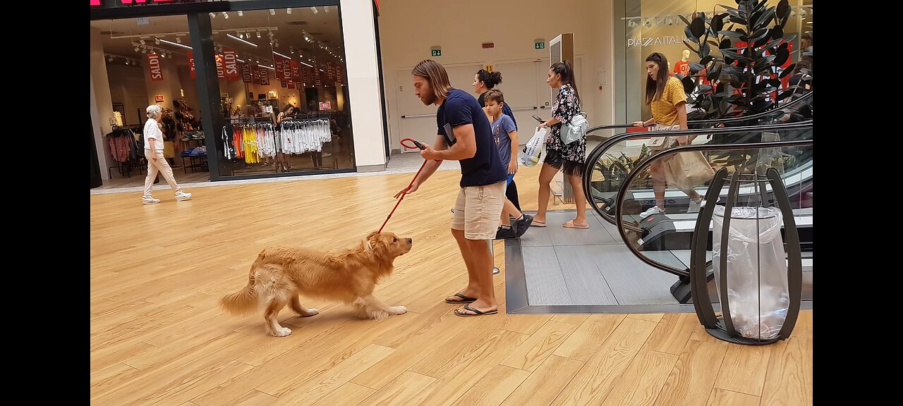 So big and afraid of the escalator