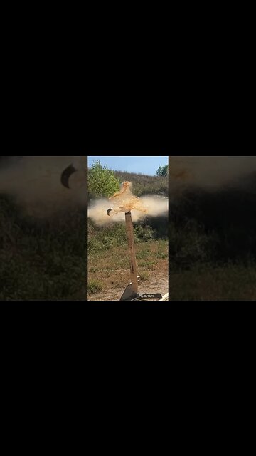 #shorts #pumpkinspiceseason