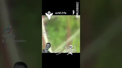 Orblife Part 2