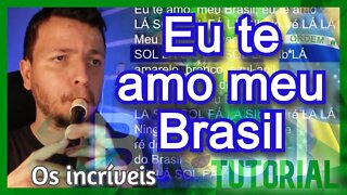 EU TE AMO MEU BRASIL - Tutorial flauta doce