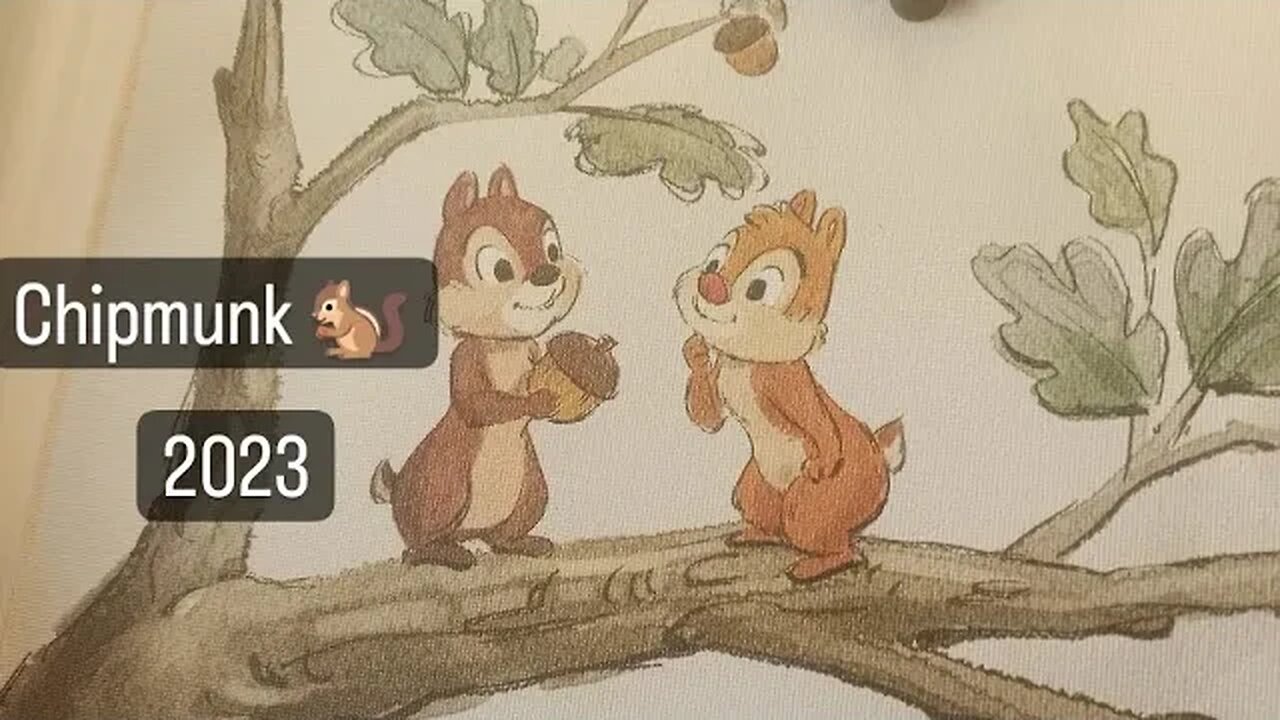 HOWS IT CHIPMUNK 2023 ADVENTURE --- FRANSISCA OFFICIAL