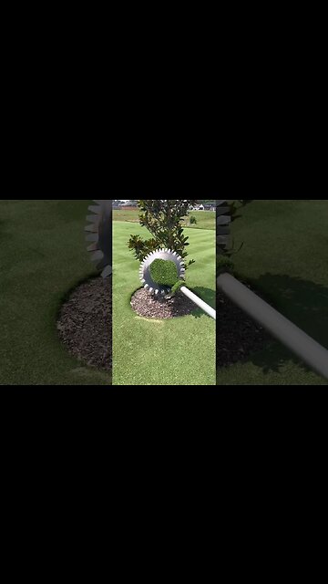 The Lawn is Showing Off