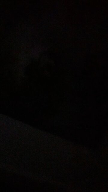 May be a repeat 🙄