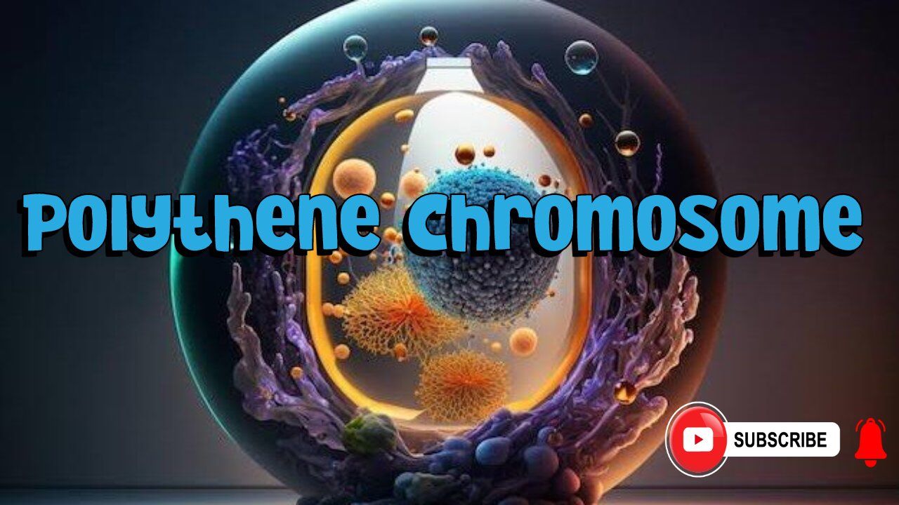 Polythene Chromosome