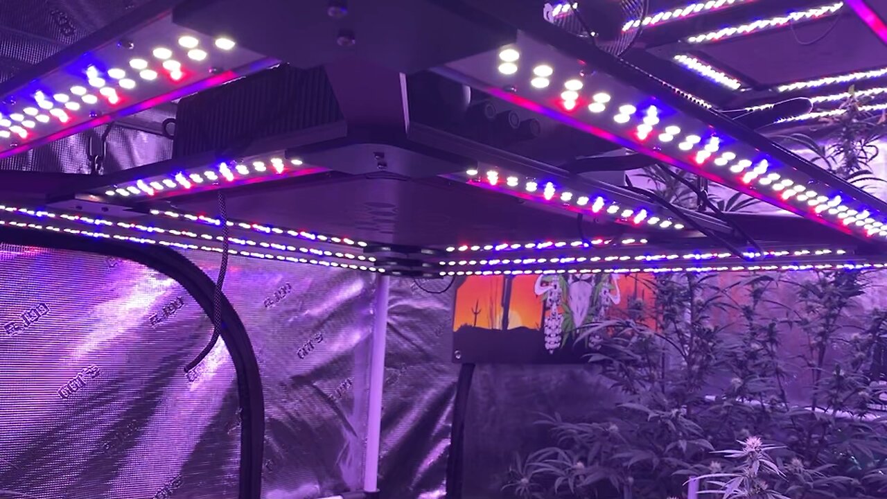 Kind LEDs are amazing!!!