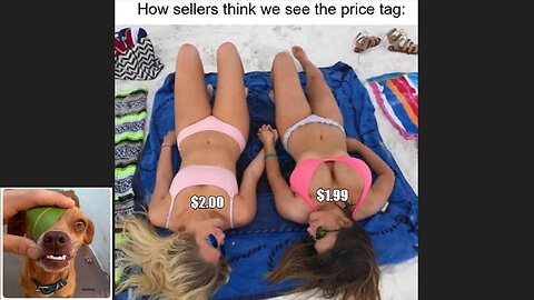 Memes That Will 99.905% Make You Laugh. (e130)