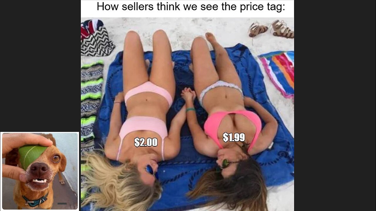 Memes That Will 99.905% Make You Laugh. (e130)