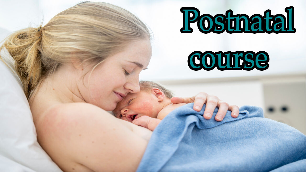 Postnatal course online