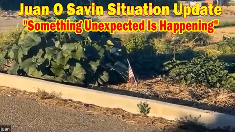 Juan O Savin Situation Update: "Something Unexpected Is Happening"