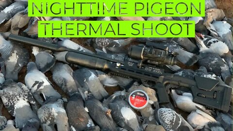 NIGHT TIME PIGEON SHOOTING H1000X CHASSIS AND THERMAL
