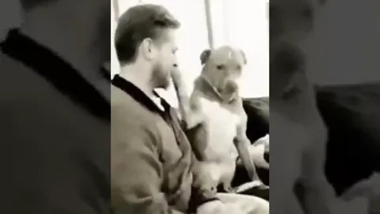Wee😂 #foryou #foryoupage #funny #viral #wee #animals #funnyvideo #fypage #funnyanimals #fyp