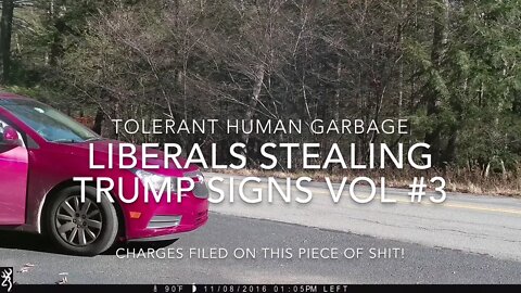 Liberal Human Garbage Stealing Trump Signs Vol #3