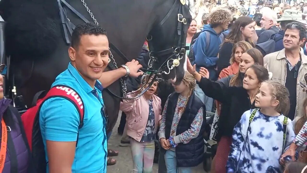 Kings guard told him once she told him twice Hands of the Reins #horseguardsparade