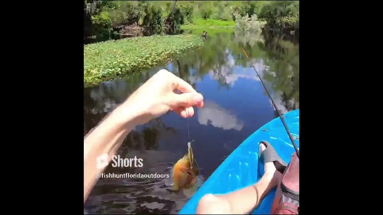 Florida Fishing from a kayak