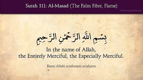 Assalam Alaikum! I’m Ayesha, the creator of “The Meaning of Islam.” I started this project in 2008