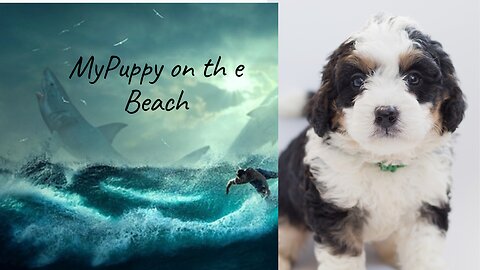 My Playful Puppy on the Beach