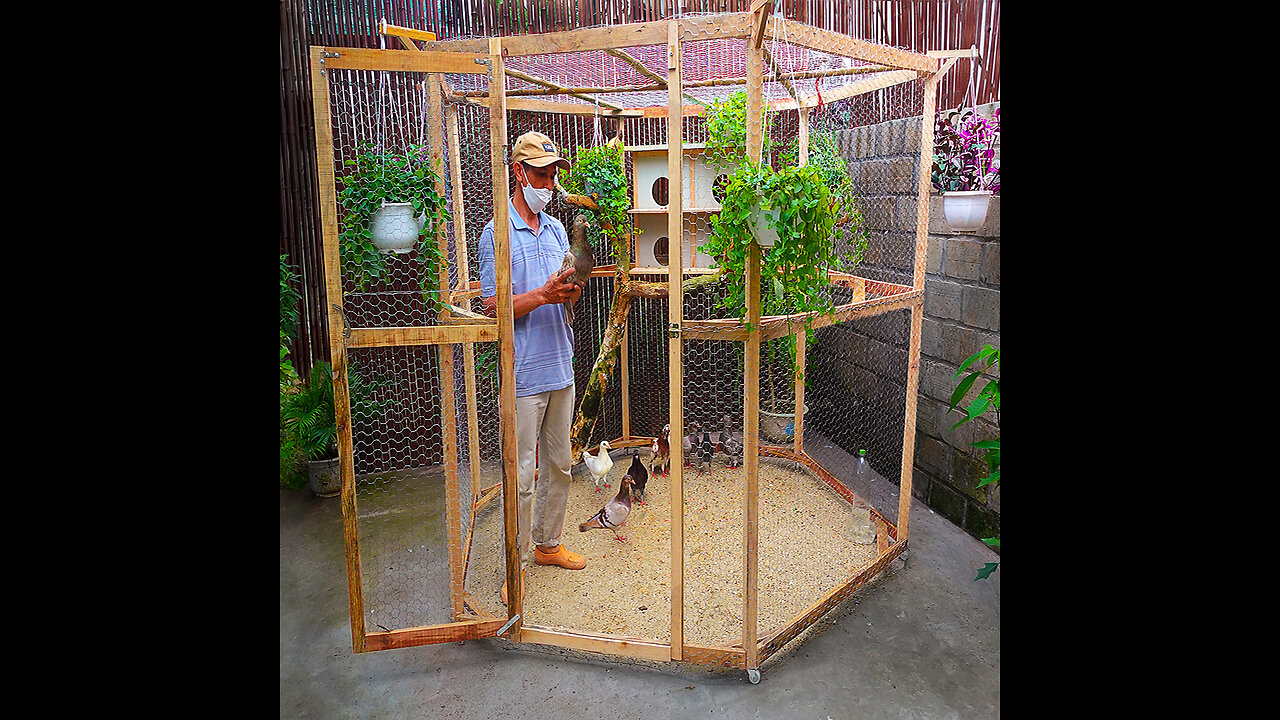 Make cheap bird cage for my wife | Complete guide | Bird cage designs