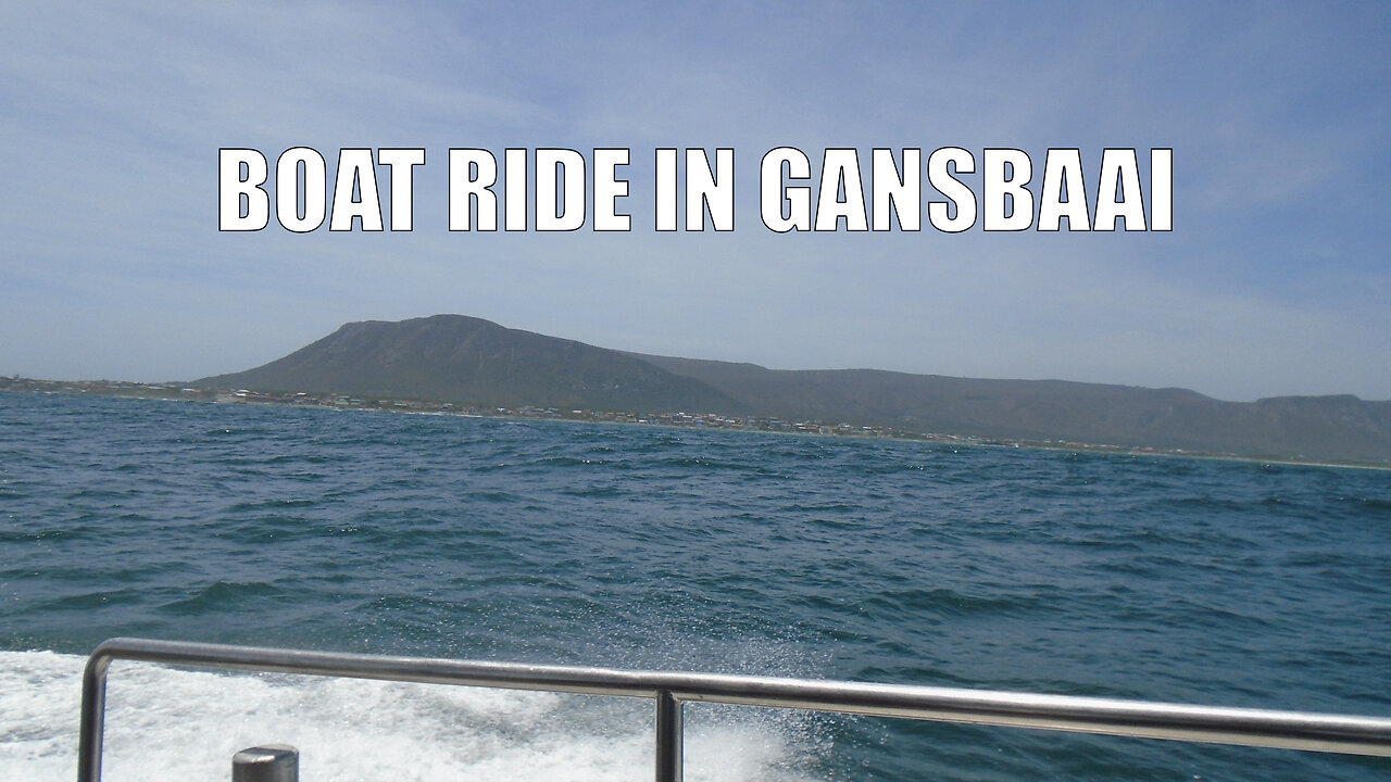 Boat ride in Gansbaai 1