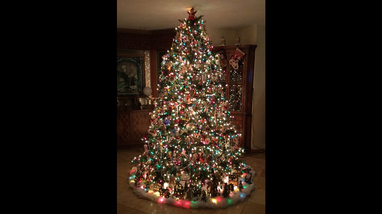 The Most Beautiful Christmas Tree