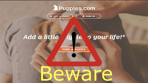 Puppies.Com Beware of This Site!!!!