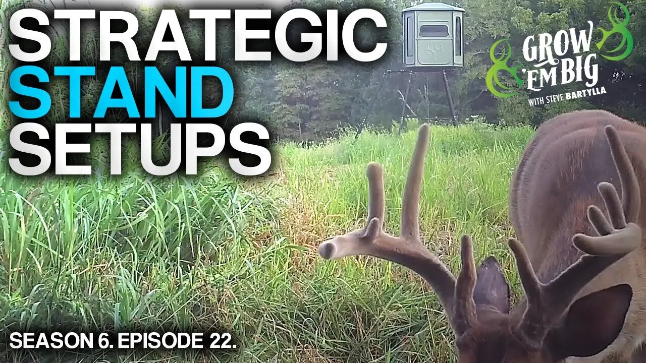 Strategic Hunting Stand Setups