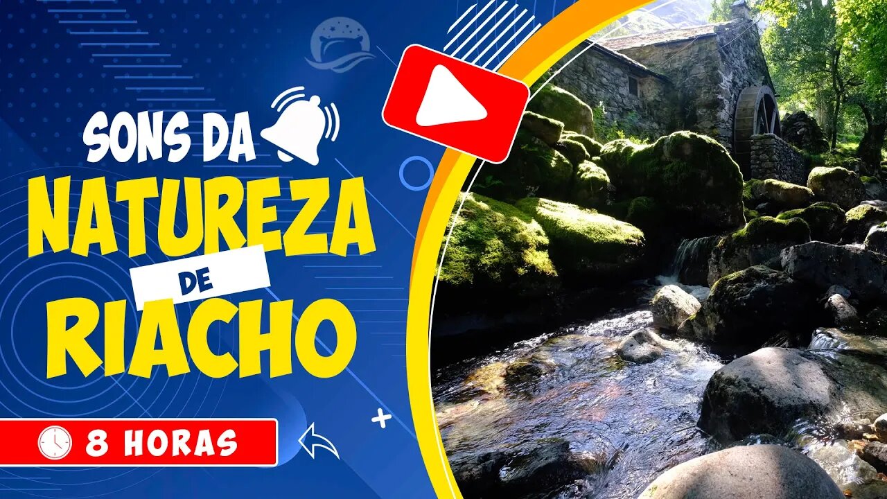 🎧 SOM DE UM RIACHO BALBUCIANTE NA FLORESTA IDEAL PARA RELAXAR E DORMIR 🍃 SONS DA NATUREZA 🕒 8 HORAS