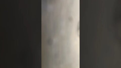 Virtual understanding if you sing with!