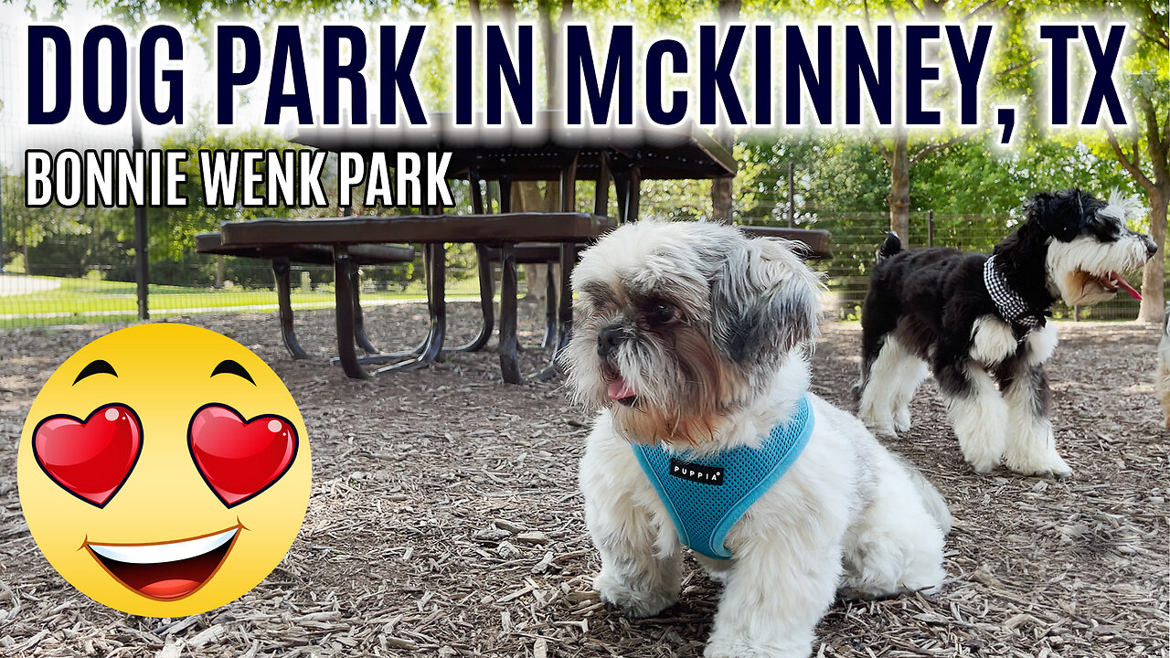 ONE-OF-A-KIND DOG PARK IN McKINNEY TX - Things to do in McKinney TX - Bonnie Wenk Park