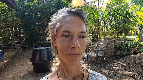 Day 12 High Energy Plasma Cleanse