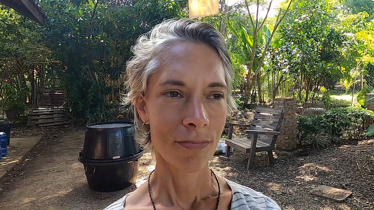 Day 12 High Energy Plasma Cleanse