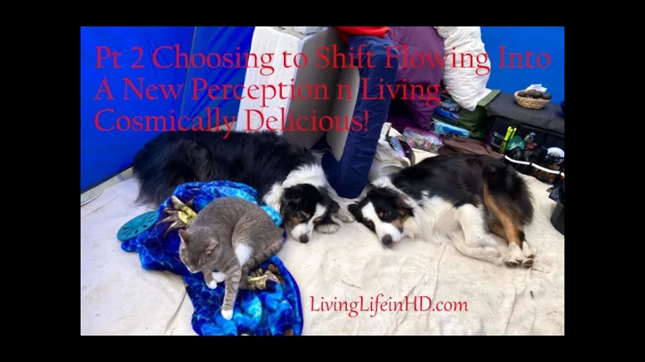 Pt 2 Choosing to Shift Flowing Into A New Perception n Living- Cosmically Delicious!