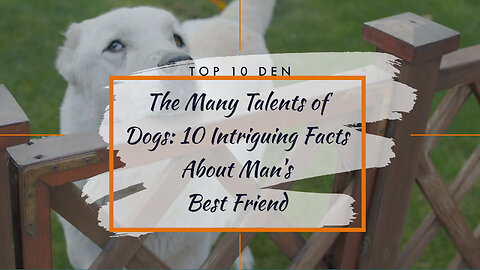 The Many Talents of Dogs: 10 Intriguing Facts About Man's Best Friend