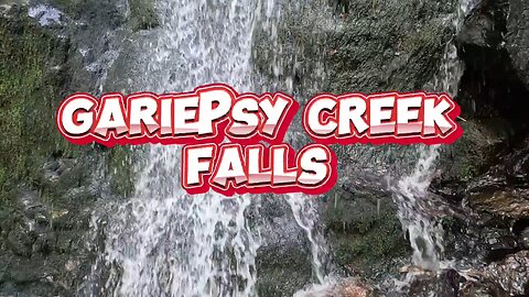 A Short Hike With My Brother | Gariepsy Creek Falls