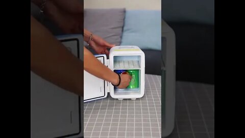 Smallest fridge