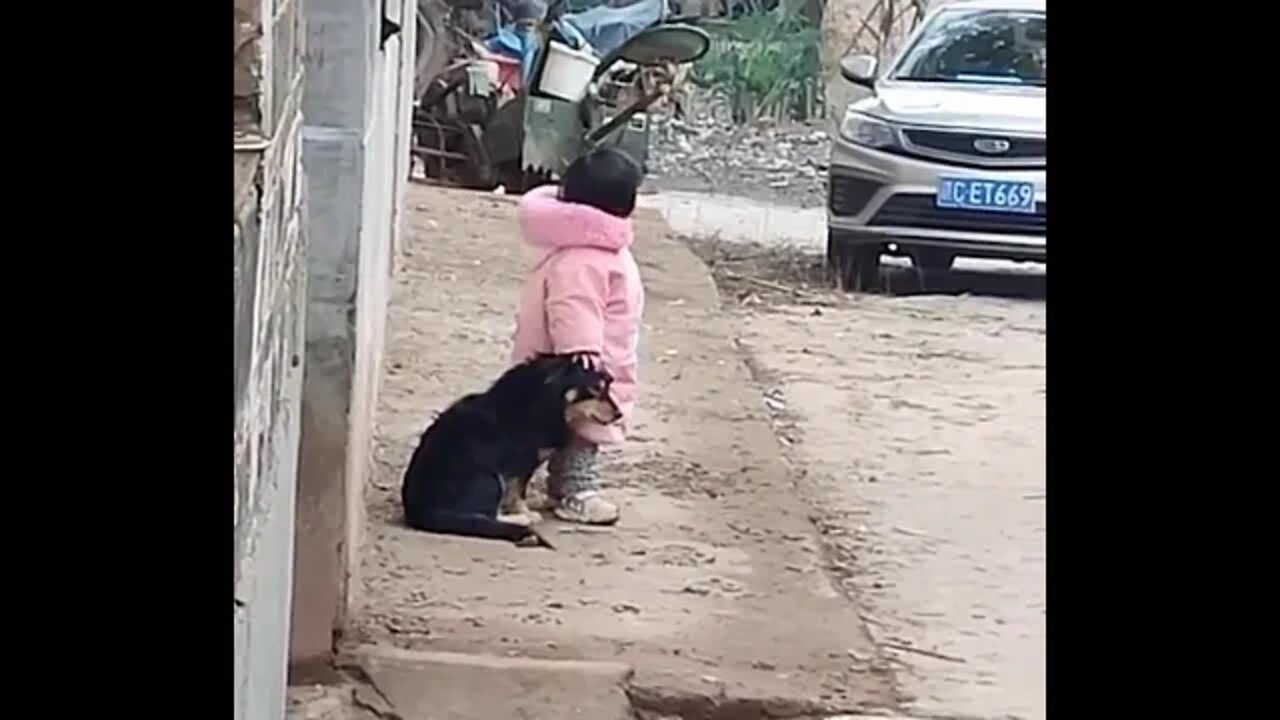 The little girl covers her pet's ears to avoid the scare of fireworks…💙 || viralpets