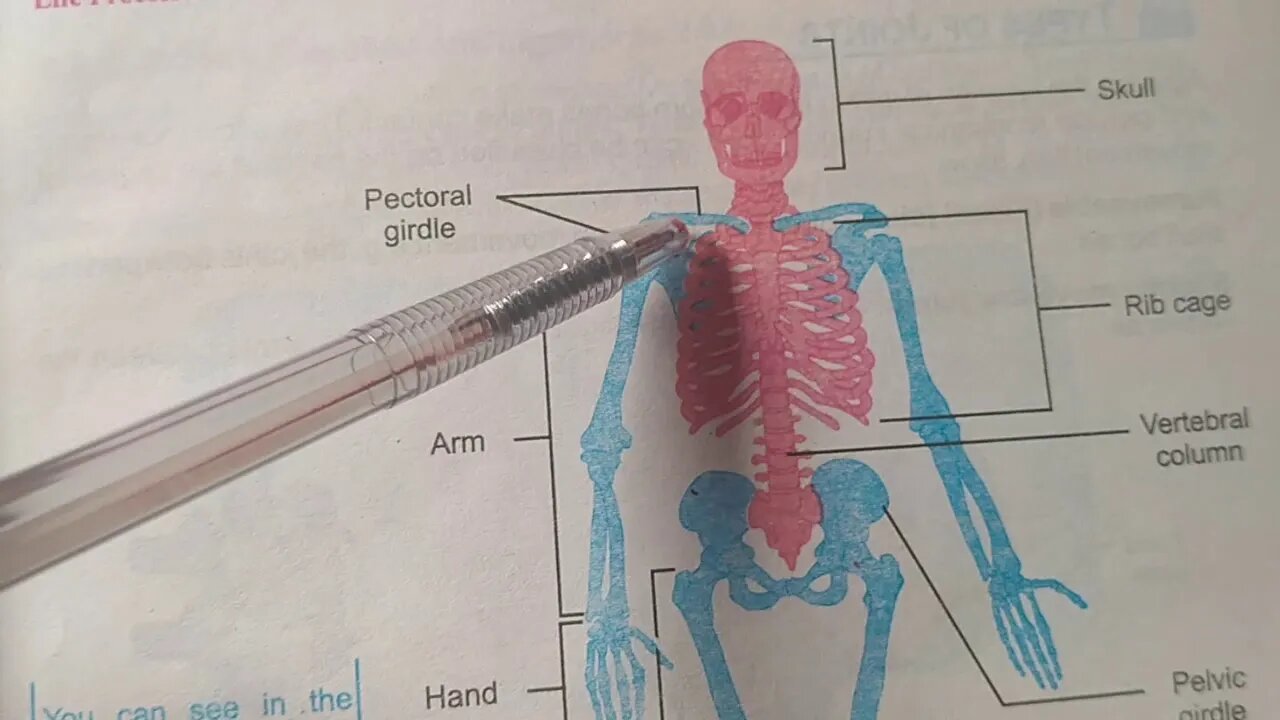 Biology 10th Lecture 4