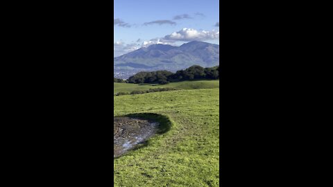 Mount Diablo from the Muddy Trail