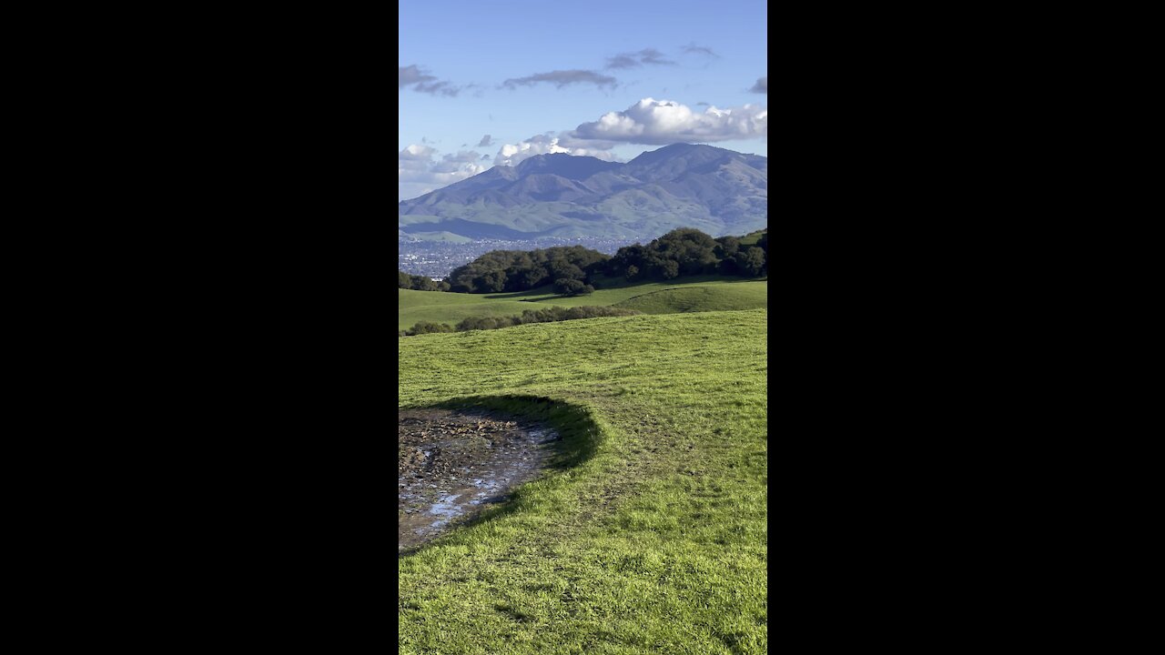 Mount Diablo from the Muddy Trail
